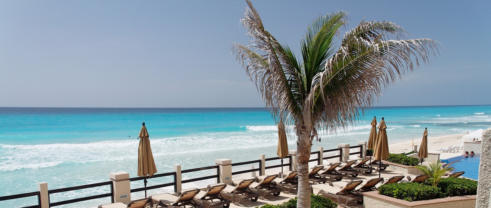 Caribbean Specialists